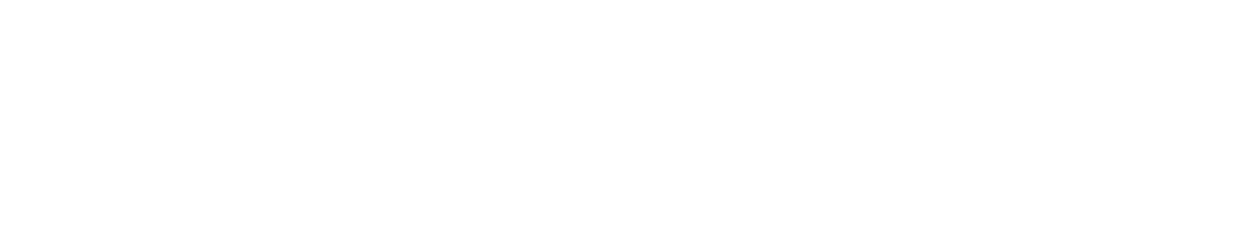Cisco-Meraki-Pride-Logo kopia